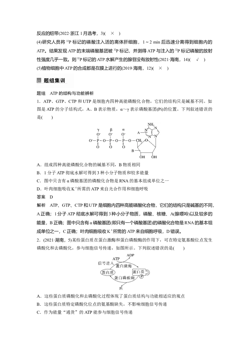 2023年高考生物二轮复习（全国版）第1篇专题突破专题2考点1　细胞内的能量通货&mdash;&mdash;ATP_通用版（老高考）复习资料_2023年复习资料_二轮复习_2023年高考生物二轮复习讲义+课件（全国版）