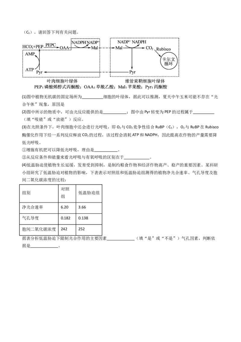 热点01&ldquo;农作物增产措施&rdquo;与光合作用和细胞呼吸（原卷版）_2024年新高考资料_3.2024专项复习_2024年高考生物热点&middot;重点&middot;难点专练（新高考专用）