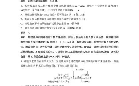 2023年高考生物二轮复习（全国版）第3篇考前特训专项二(三)细胞的生命历程_通用版（老高考）复习资料_2023年复习资料_二轮复习_2023年高考生物二轮复习讲义+课件（全国版）