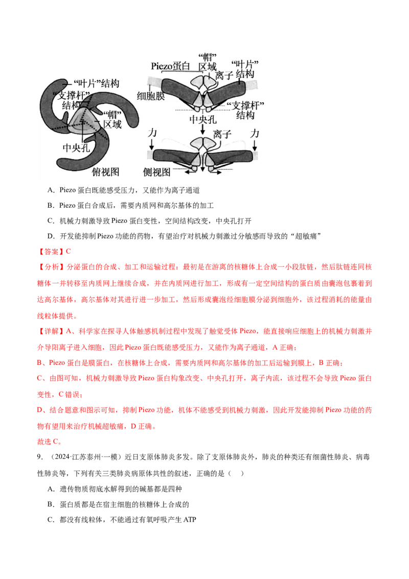 押江苏卷选择题细胞的物质基础和结构基础（解析版）_2024年新高考资料_5.2024三轮冲刺_备战2024年高考生物临考题号押题（江苏专用）322855714