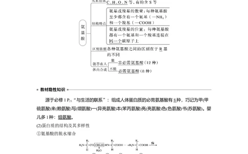 2023年高考生物一轮复习（全国版）第1单元第3课时　蛋白质是生命活动的主要承担者_通用版（老高考）复习资料_2023年复习资料_一轮复习_2023年高考生物一轮复习讲义+课件（全国版）