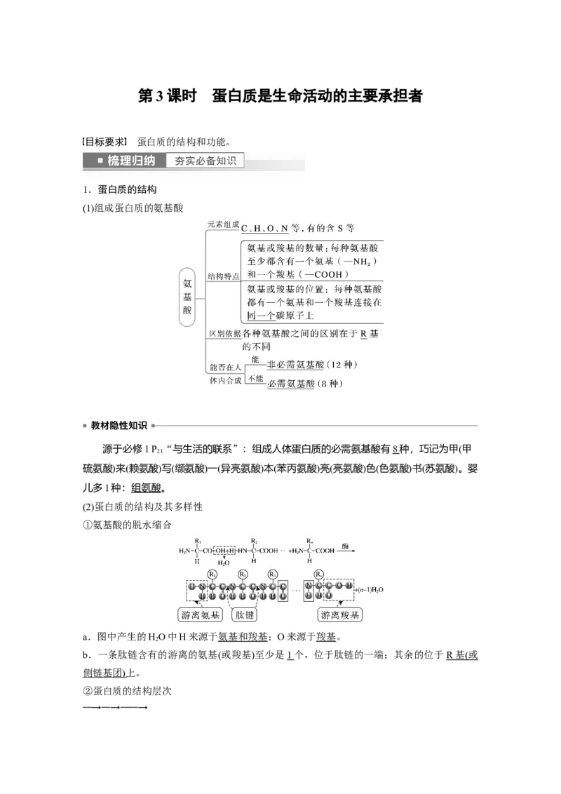 2023年高考生物一轮复习（全国版）第1单元第3课时　蛋白质是生命活动的主要承担者_通用版（老高考）复习资料_2023年复习资料_一轮复习_2023年高考生物一轮复习讲义+课件（全国版）