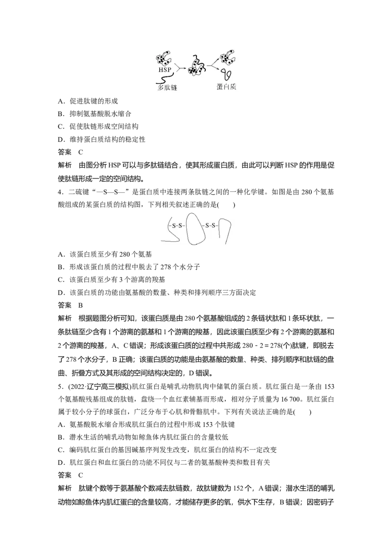 2023年高考生物一轮复习（全国版）第1单元第3课时　蛋白质是生命活动的主要承担者_通用版（老高考）复习资料_2023年复习资料_一轮复习_2023年高考生物一轮复习讲义+课件（全国版）