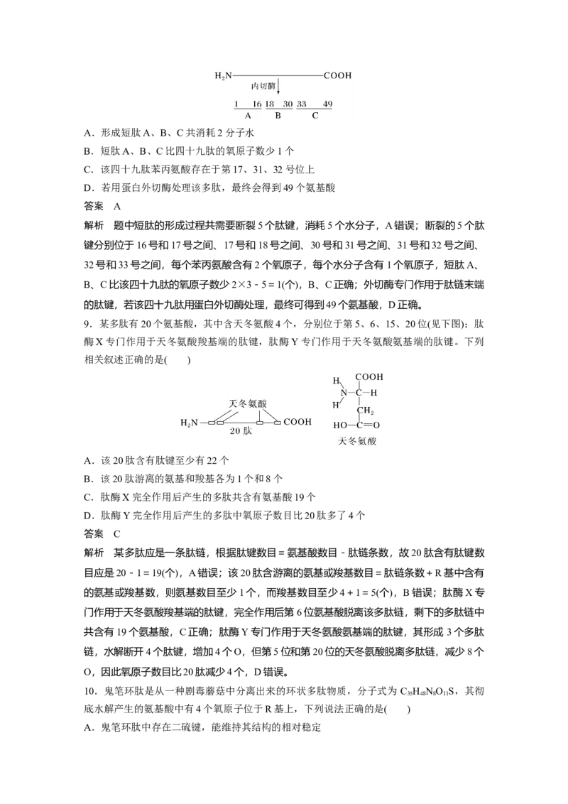 2023年高考生物一轮复习（全国版）第1单元第3课时　蛋白质是生命活动的主要承担者_通用版（老高考）复习资料_2023年复习资料_一轮复习_2023年高考生物一轮复习讲义+课件（全国版）