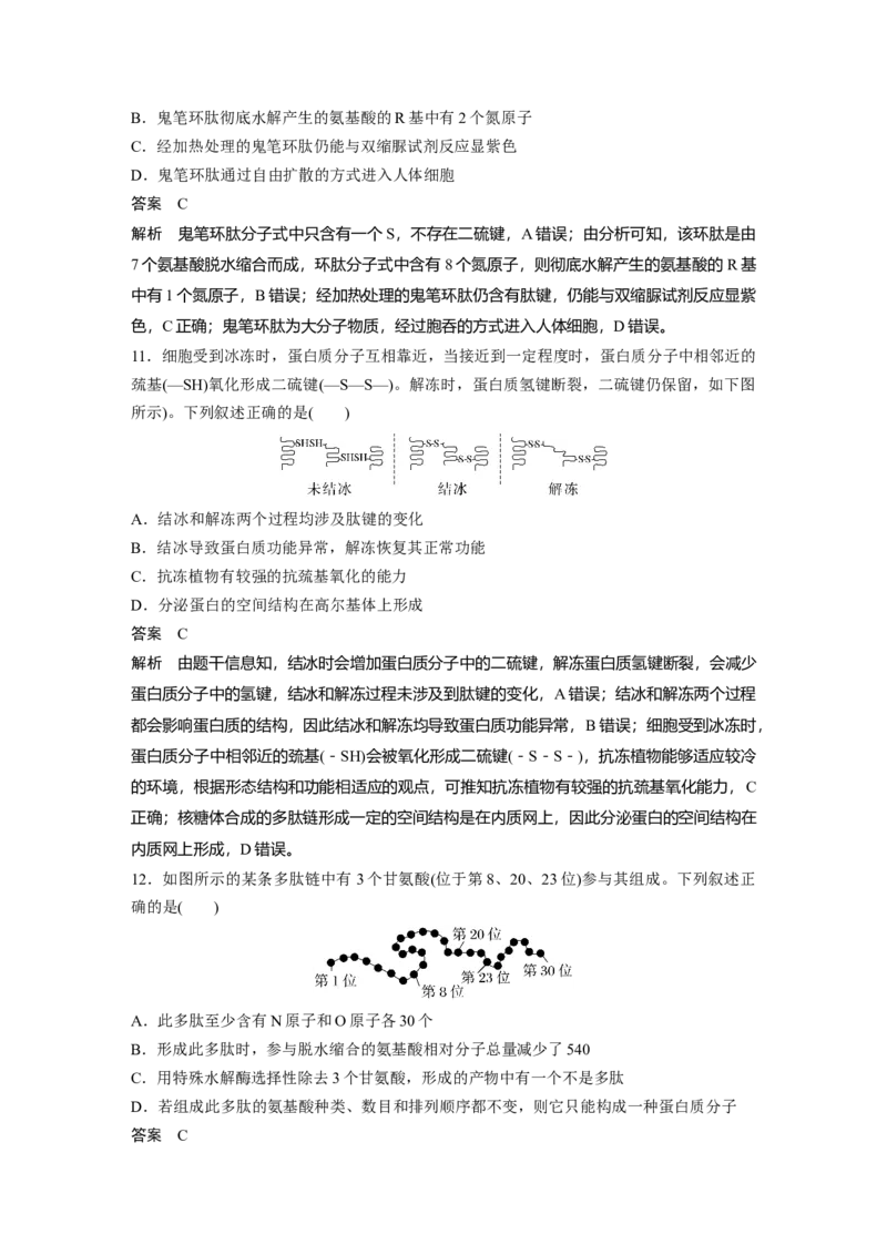 2023年高考生物一轮复习（全国版）第1单元第3课时　蛋白质是生命活动的主要承担者_通用版（老高考）复习资料_2023年复习资料_一轮复习_2023年高考生物一轮复习讲义+课件（全国版）