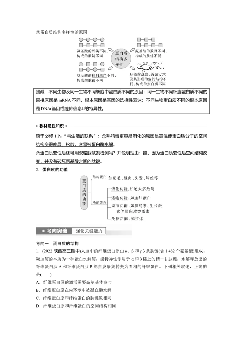 2023年高考生物一轮复习（全国版）第1单元第3课时　蛋白质是生命活动的主要承担者_通用版（老高考）复习资料_2023年复习资料_一轮复习_2023年高考生物一轮复习讲义+课件（全国版）