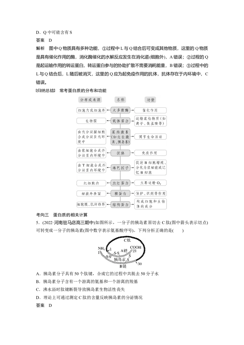 2023年高考生物一轮复习（全国版）第1单元第3课时　蛋白质是生命活动的主要承担者_通用版（老高考）复习资料_2023年复习资料_一轮复习_2023年高考生物一轮复习讲义+课件（全国版）