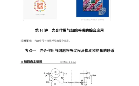 2022年高考生物一轮复习第3单元第10讲　光合作用与细胞呼吸的综合应用_新高考复习资料_2022年新高考复习资料_2022年一轮复习最新版_1.2022年高考生物一轮复习全国通用版
