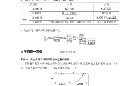 2022年高考生物一轮复习第3单元第10讲　光合作用与细胞呼吸的综合应用_新高考复习资料_2022年新高考复习资料_2022年一轮复习最新版_1.2022年高考生物一轮复习全国通用版