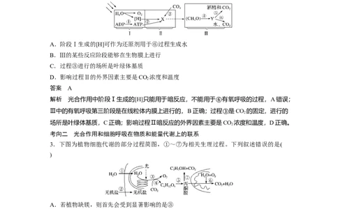 2022年高考生物一轮复习第3单元第10讲　光合作用与细胞呼吸的综合应用_新高考复习资料_2022年新高考复习资料_2022年一轮复习最新版_1.2022年高考生物一轮复习全国通用版