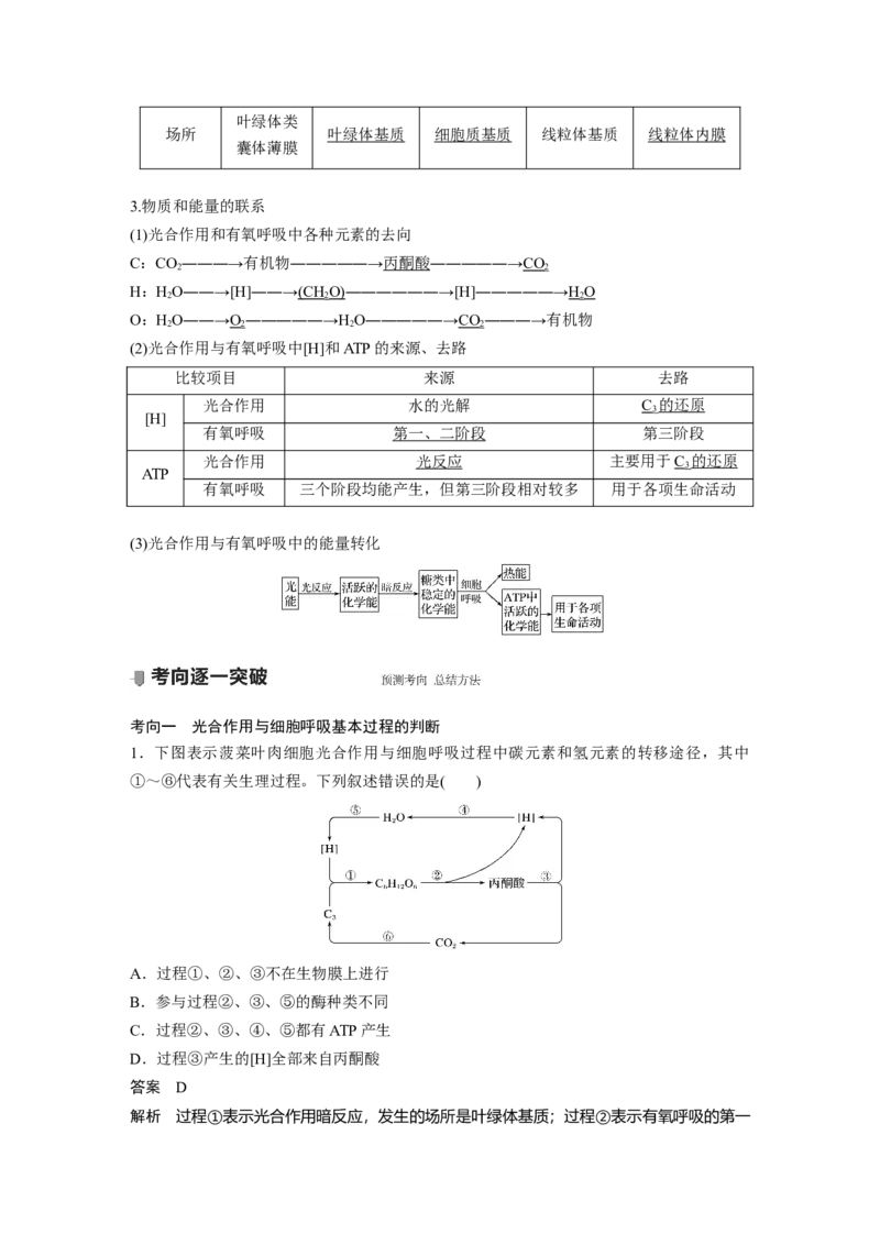 2022年高考生物一轮复习第3单元第10讲　光合作用与细胞呼吸的综合应用_新高考复习资料_2022年新高考复习资料_2022年一轮复习最新版_1.2022年高考生物一轮复习全国通用版