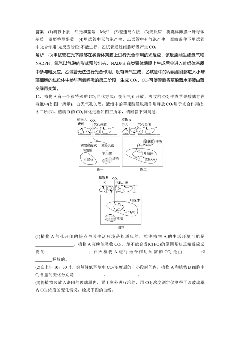 2022年高考生物一轮复习第3单元第10讲　光合作用与细胞呼吸的综合应用_新高考复习资料_2022年新高考复习资料_2022年一轮复习最新版_1.2022年高考生物一轮复习全国通用版