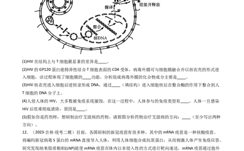 热点05免疫与健康（原卷版）_2024年新高考资料_3.2024专项复习_2024年高考生物热点&middot;重点&middot;难点专练（新高考专用）