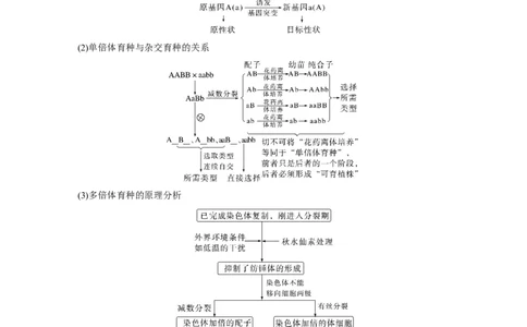 2023年高考生物二轮复习（全国版）第1篇专题突破专题5考点2　可遗传变异与育种_通用版（老高考）复习资料_2023年复习资料_二轮复习_2023年高考生物二轮复习讲义+课件（全国版）
