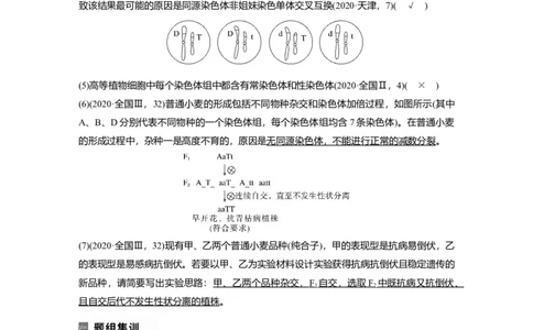 2023年高考生物二轮复习（全国版）第1篇专题突破专题5考点2　可遗传变异与育种_通用版（老高考）复习资料_2023年复习资料_二轮复习_2023年高考生物二轮复习讲义+课件（全国版）