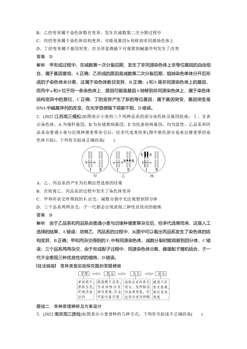 2023年高考生物二轮复习（全国版）第1篇专题突破专题5考点2　可遗传变异与育种_通用版（老高考）复习资料_2023年复习资料_二轮复习_2023年高考生物二轮复习讲义+课件（全国版）