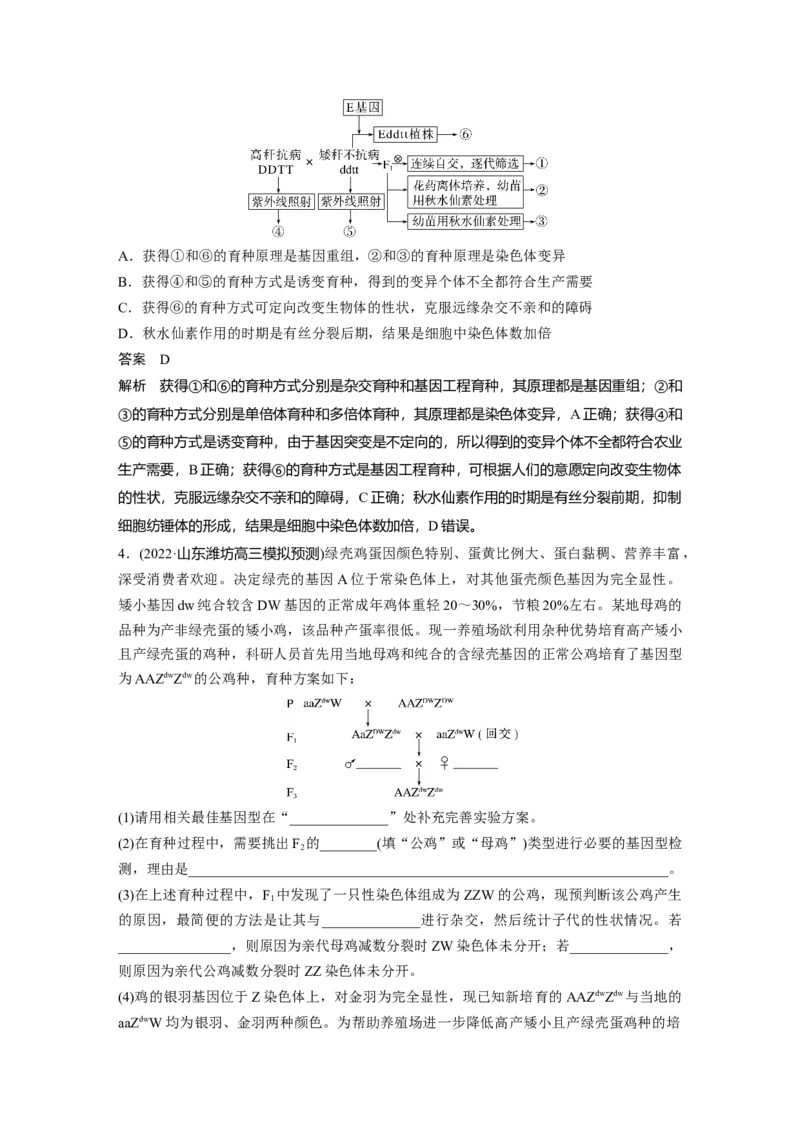 2023年高考生物二轮复习（全国版）第1篇专题突破专题5考点2　可遗传变异与育种_通用版（老高考）复习资料_2023年复习资料_二轮复习_2023年高考生物二轮复习讲义+课件（全国版）