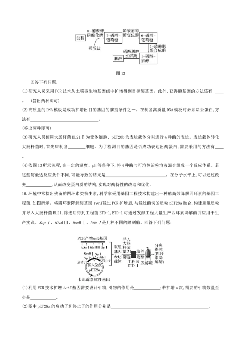押第25题生物技术与工程模块（原卷版）_2024年新高考资料_5.2024三轮冲刺_备战2024年高考生物临考题号押题（辽宁、黑龙江、吉林专用）322857720