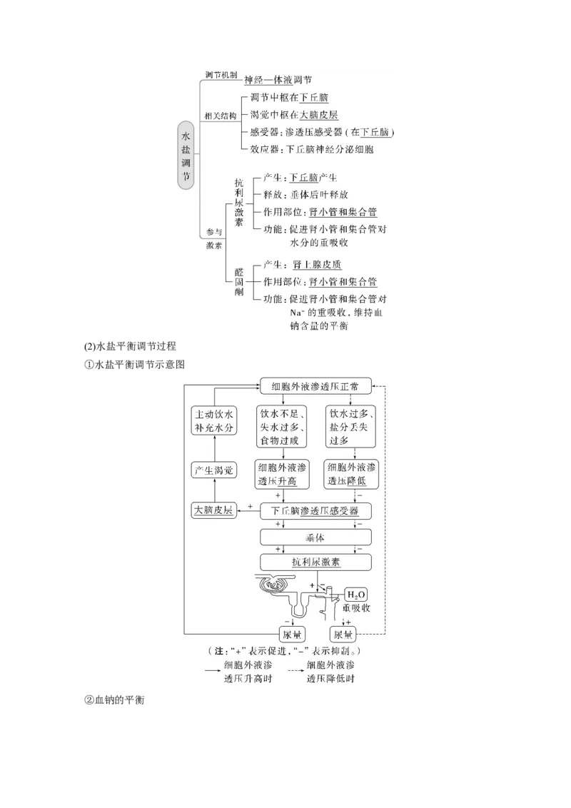 2023年高考生物一轮复习（新人教新高考）第8单元第5课时　体液调节与神经调节的关系_新高考复习资料_2023年新高考复习资料_一轮复习_2023年新高考大一轮复习讲义