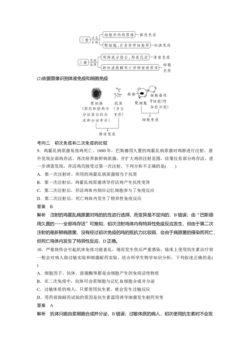 2023年高考生物一轮复习（新人教新高考）第8单元第6课时　免疫调节_新高考复习资料_2023年新高考复习资料_一轮复习_2023年新高考大一轮复习讲义