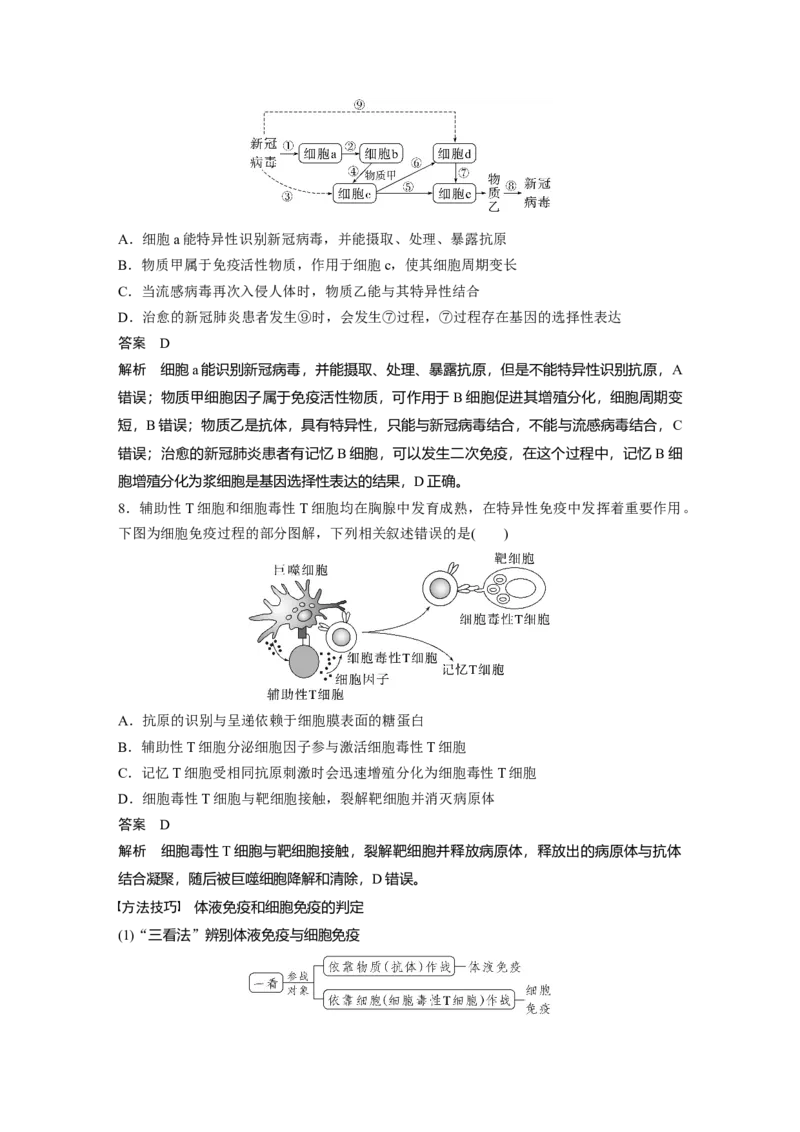 2023年高考生物一轮复习（新人教新高考）第8单元第6课时　免疫调节_新高考复习资料_2023年新高考复习资料_一轮复习_2023年新高考大一轮复习讲义