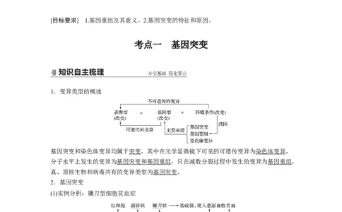 2022年高考生物一轮复习第7单元第20讲　基因突变和基因重组_新高考复习资料_2022年新高考复习资料_2022年一轮复习最新版_1.2022年高考生物一轮复习全国通用版