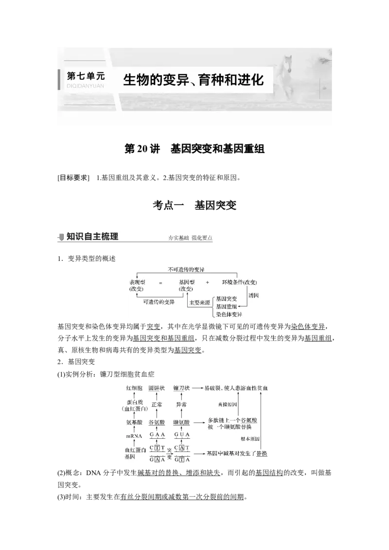 2022年高考生物一轮复习第7单元第20讲　基因突变和基因重组_新高考复习资料_2022年新高考复习资料_2022年一轮复习最新版_1.2022年高考生物一轮复习全国通用版