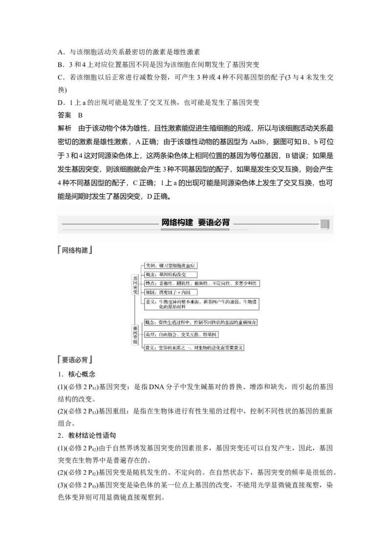 2022年高考生物一轮复习第7单元第20讲　基因突变和基因重组_新高考复习资料_2022年新高考复习资料_2022年一轮复习最新版_1.2022年高考生物一轮复习全国通用版