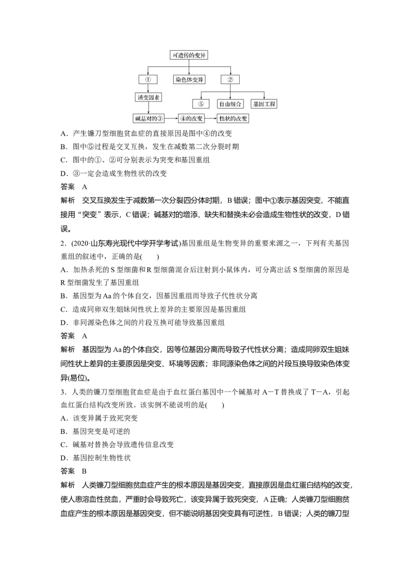 2022年高考生物一轮复习第7单元第20讲　基因突变和基因重组_新高考复习资料_2022年新高考复习资料_2022年一轮复习最新版_1.2022年高考生物一轮复习全国通用版