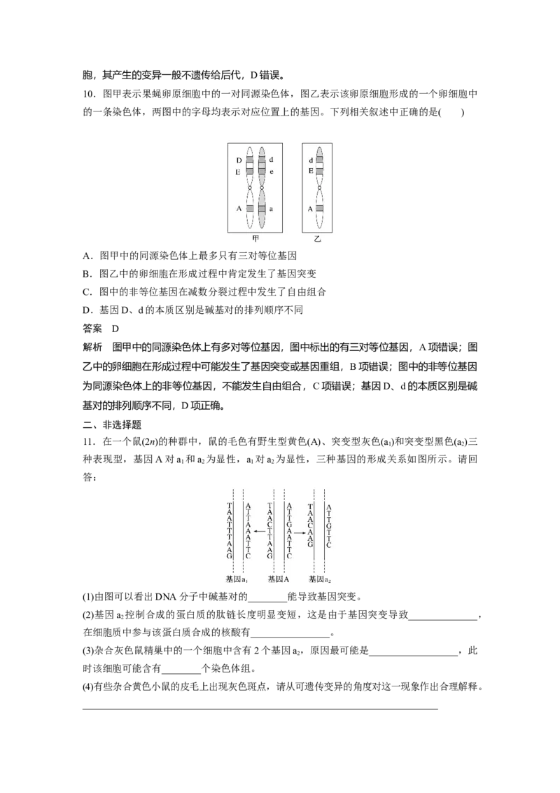 2022年高考生物一轮复习第7单元第20讲　基因突变和基因重组_新高考复习资料_2022年新高考复习资料_2022年一轮复习最新版_1.2022年高考生物一轮复习全国通用版