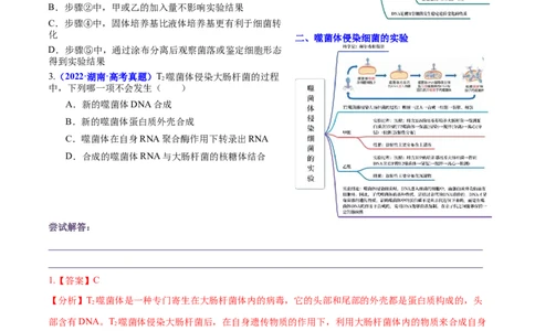 押新高考卷遗传的分子基础（解析版）-备战2024年高考生物临考题号押题（新高考通用）_2024年新高考资料_5.2024三轮冲刺_备战2024年高考生物临考题号押题（新高考通用）322745222