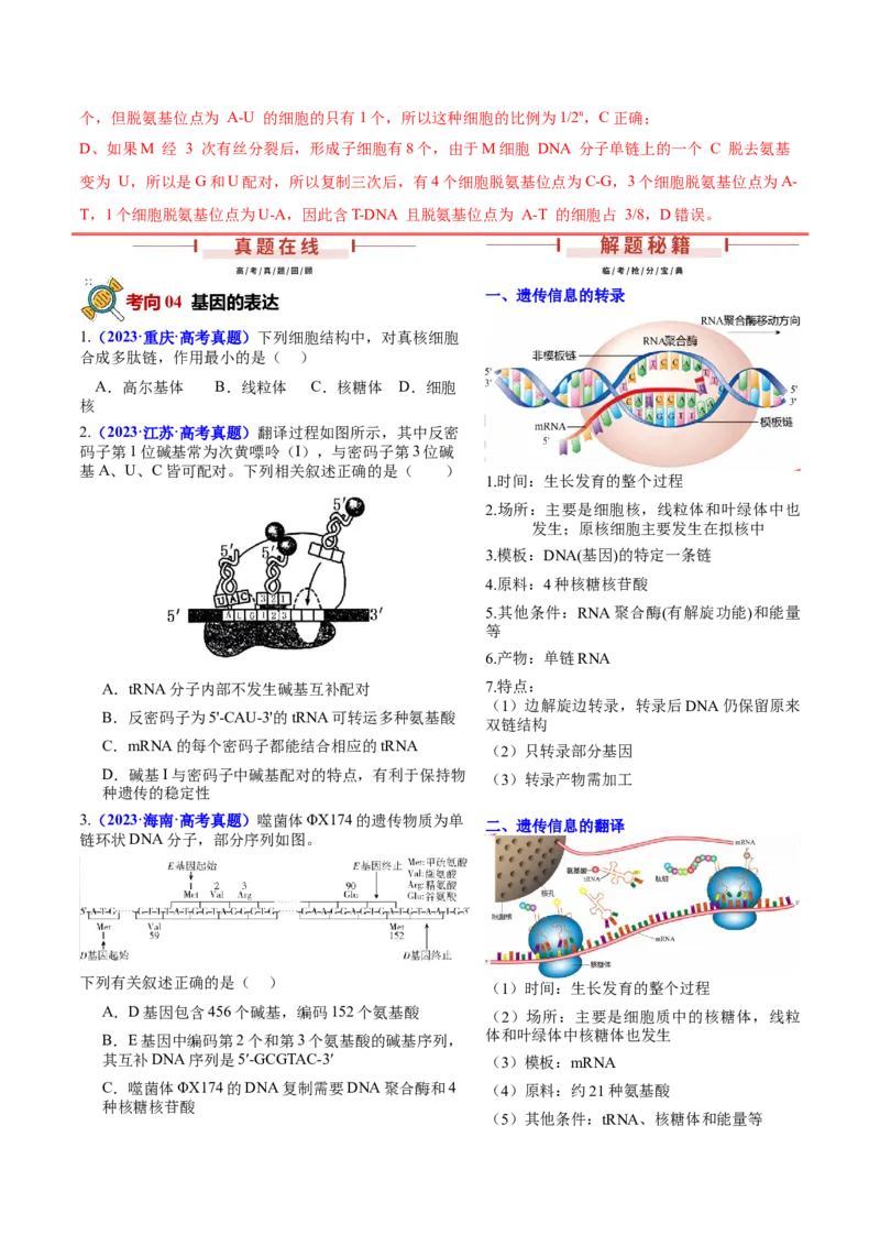 押新高考卷遗传的分子基础（解析版）-备战2024年高考生物临考题号押题（新高考通用）_2024年新高考资料_5.2024三轮冲刺_备战2024年高考生物临考题号押题（新高考通用）322745222