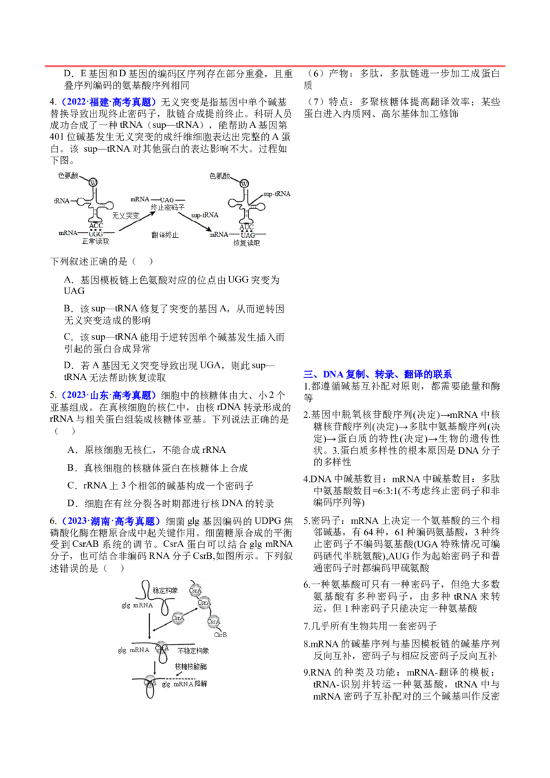押新高考卷遗传的分子基础（解析版）-备战2024年高考生物临考题号押题（新高考通用）_2024年新高考资料_5.2024三轮冲刺_备战2024年高考生物临考题号押题（新高考通用）322745222