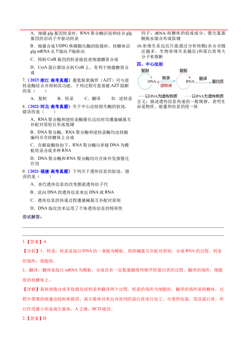 押新高考卷遗传的分子基础（解析版）-备战2024年高考生物临考题号押题（新高考通用）_2024年新高考资料_5.2024三轮冲刺_备战2024年高考生物临考题号押题（新高考通用）322745222