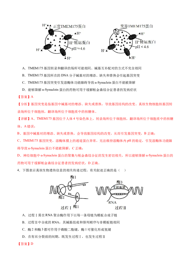 押新高考卷遗传的分子基础（解析版）-备战2024年高考生物临考题号押题（新高考通用）_2024年新高考资料_5.2024三轮冲刺_备战2024年高考生物临考题号押题（新高考通用）322745222