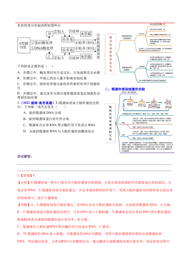 押新高考卷遗传的分子基础（解析版）-备战2024年高考生物临考题号押题（新高考通用）_2024年新高考资料_5.2024三轮冲刺_备战2024年高考生物临考题号押题（新高考通用）322745222