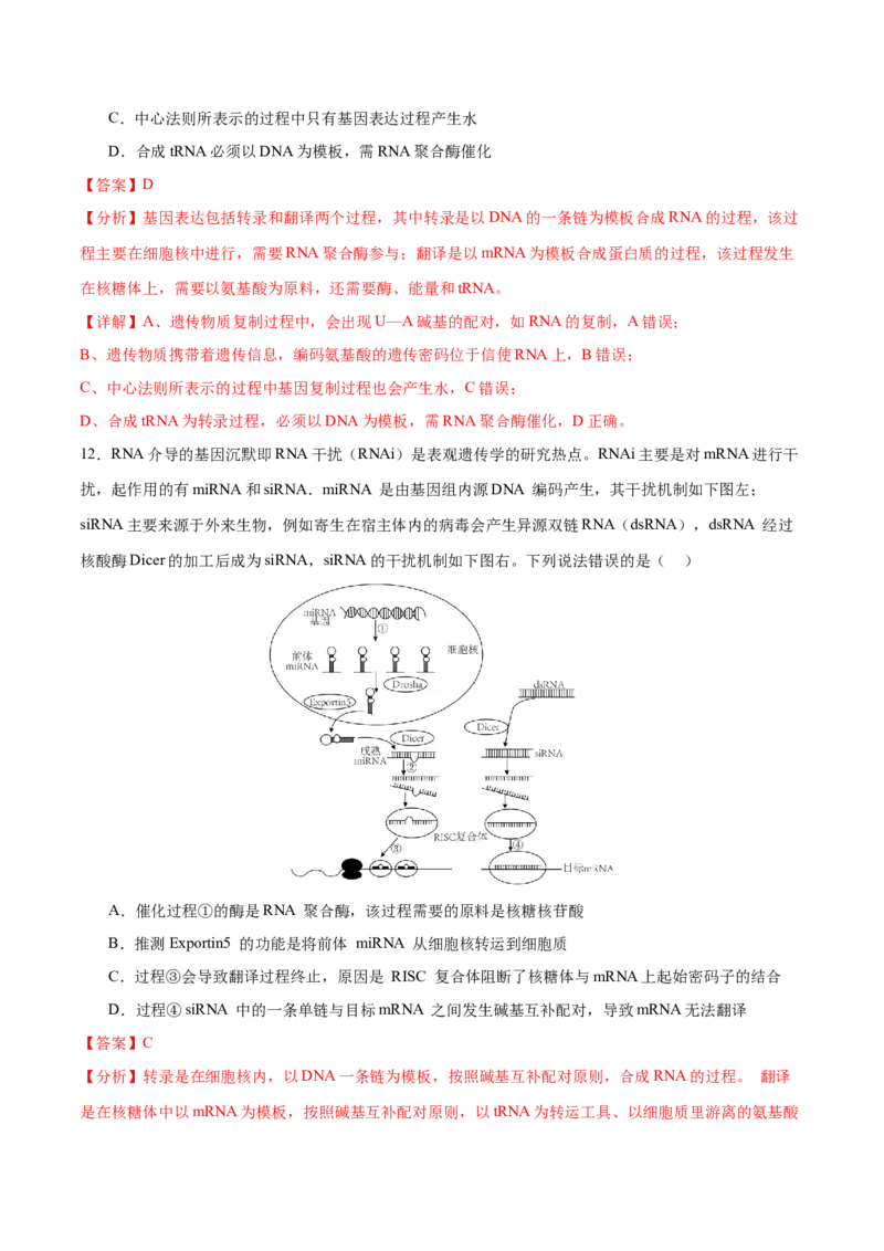 押新高考卷遗传的分子基础（解析版）-备战2024年高考生物临考题号押题（新高考通用）_2024年新高考资料_5.2024三轮冲刺_备战2024年高考生物临考题号押题（新高考通用）322745222