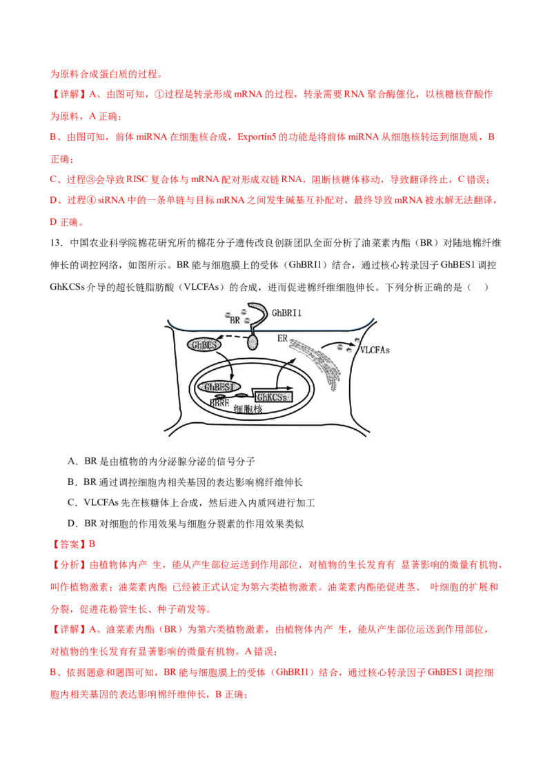 押新高考卷遗传的分子基础（解析版）-备战2024年高考生物临考题号押题（新高考通用）_2024年新高考资料_5.2024三轮冲刺_备战2024年高考生物临考题号押题（新高考通用）322745222