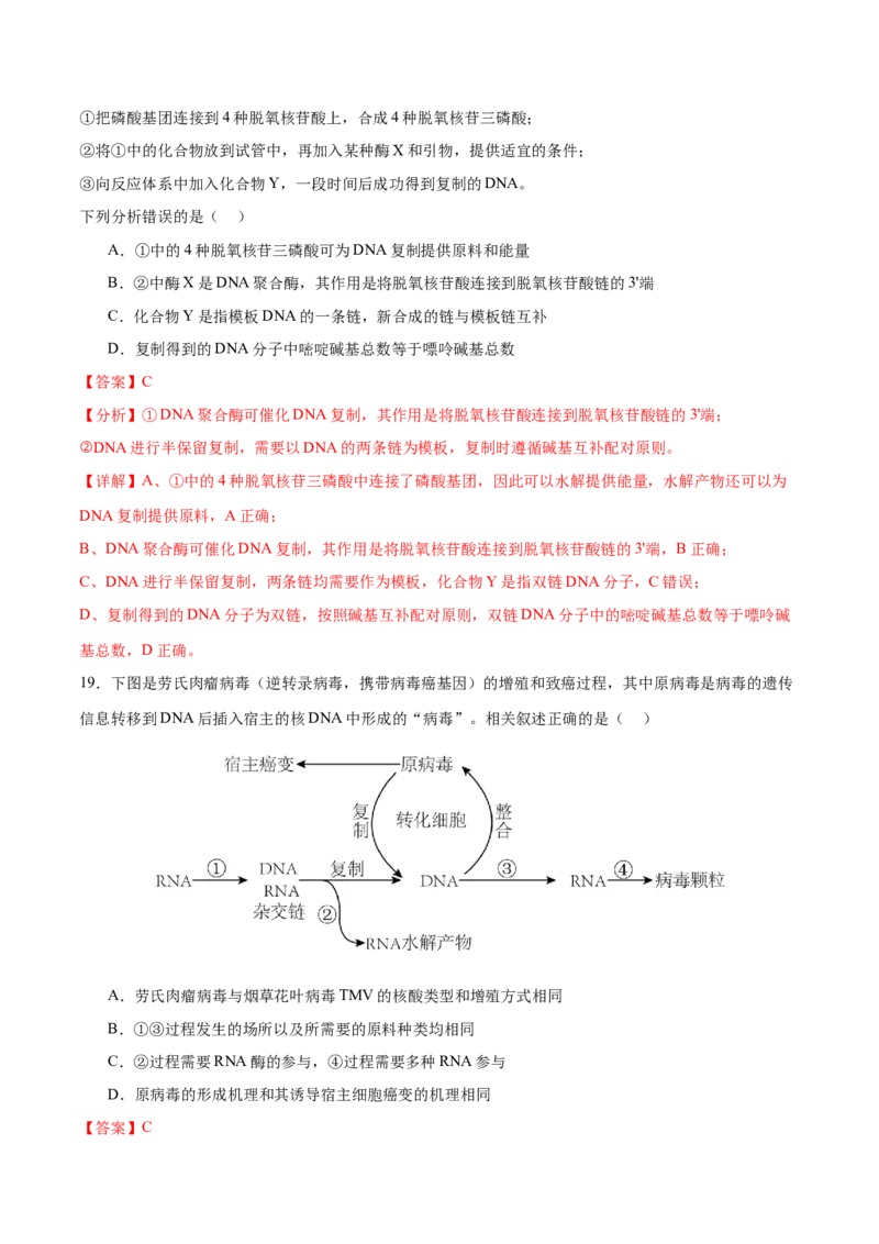 押新高考卷遗传的分子基础（解析版）-备战2024年高考生物临考题号押题（新高考通用）_2024年新高考资料_5.2024三轮冲刺_备战2024年高考生物临考题号押题（新高考通用）322745222