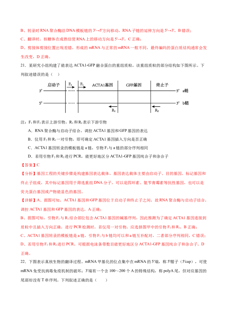 押新高考卷遗传的分子基础（解析版）-备战2024年高考生物临考题号押题（新高考通用）_2024年新高考资料_5.2024三轮冲刺_备战2024年高考生物临考题号押题（新高考通用）322745222
