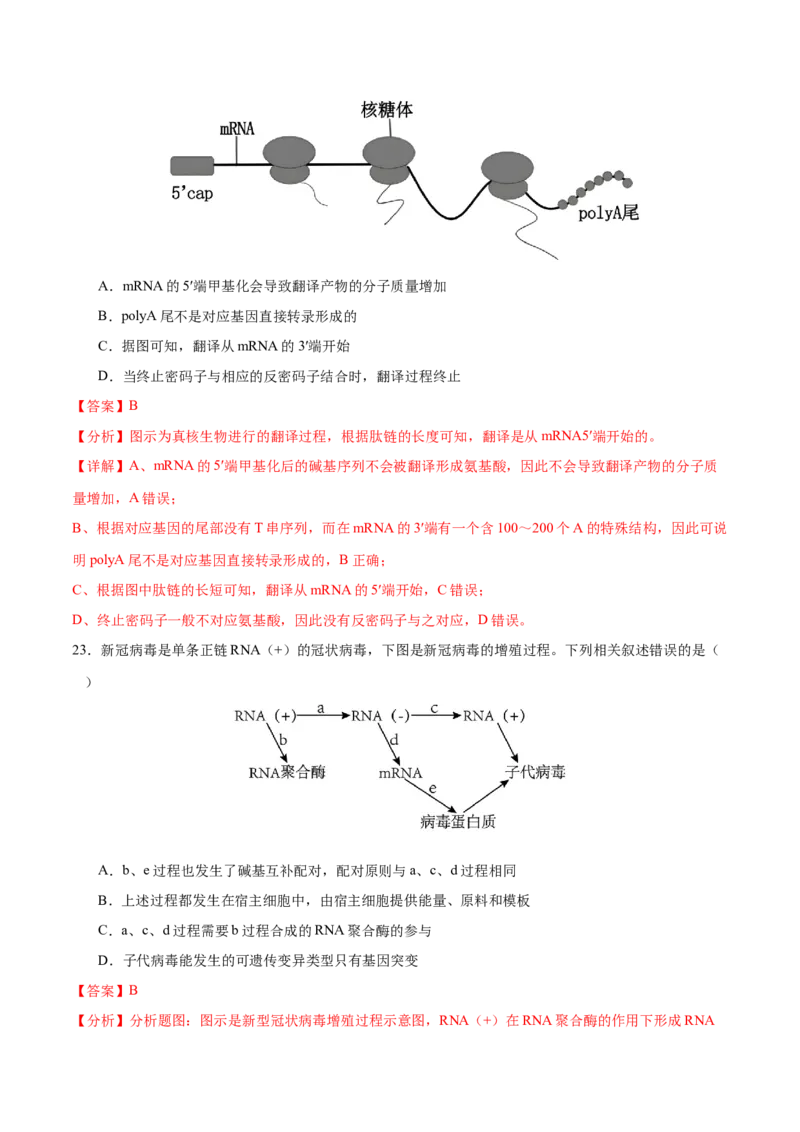 押新高考卷遗传的分子基础（解析版）-备战2024年高考生物临考题号押题（新高考通用）_2024年新高考资料_5.2024三轮冲刺_备战2024年高考生物临考题号押题（新高考通用）322745222