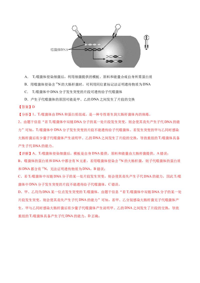 押新高考卷遗传的分子基础（解析版）-备战2024年高考生物临考题号押题（新高考通用）_2024年新高考资料_5.2024三轮冲刺_备战2024年高考生物临考题号押题（新高考通用）322745222