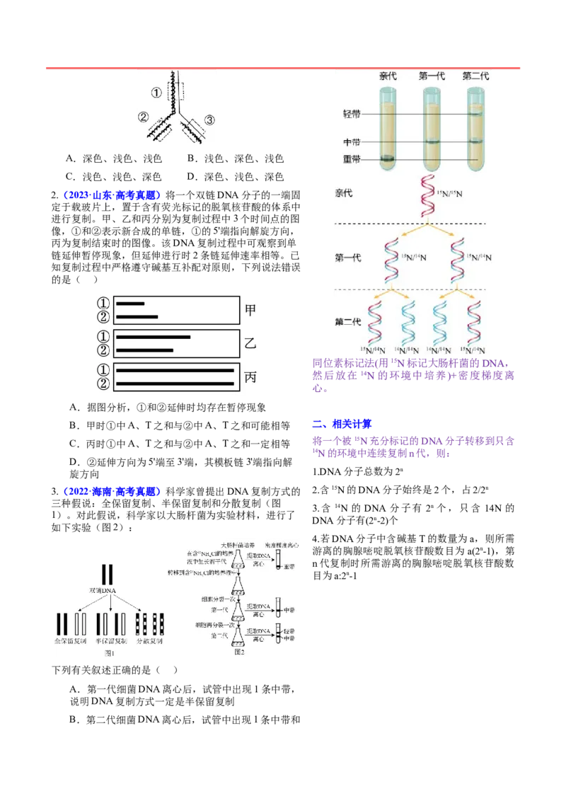 押新高考卷遗传的分子基础（解析版）-备战2024年高考生物临考题号押题（新高考通用）_2024年新高考资料_5.2024三轮冲刺_备战2024年高考生物临考题号押题（新高考通用）322745222