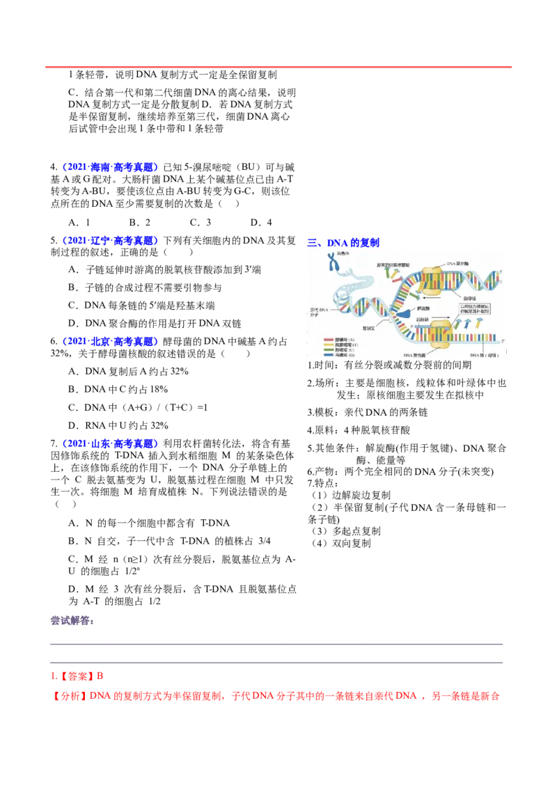 押新高考卷遗传的分子基础（解析版）-备战2024年高考生物临考题号押题（新高考通用）_2024年新高考资料_5.2024三轮冲刺_备战2024年高考生物临考题号押题（新高考通用）322745222