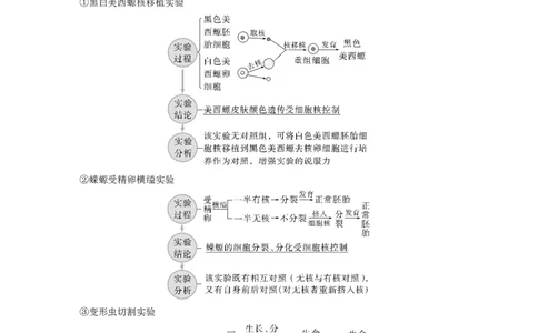 2023年高考生物一轮复习（全国版）第2单元第4课时　细胞核的结构和功能_通用版（老高考）复习资料_2023年复习资料_一轮复习_2023年高考生物一轮复习讲义+课件（全国版）