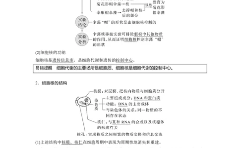2023年高考生物一轮复习（全国版）第2单元第4课时　细胞核的结构和功能_通用版（老高考）复习资料_2023年复习资料_一轮复习_2023年高考生物一轮复习讲义+课件（全国版）