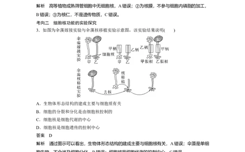 2023年高考生物一轮复习（全国版）第2单元第4课时　细胞核的结构和功能_通用版（老高考）复习资料_2023年复习资料_一轮复习_2023年高考生物一轮复习讲义+课件（全国版）