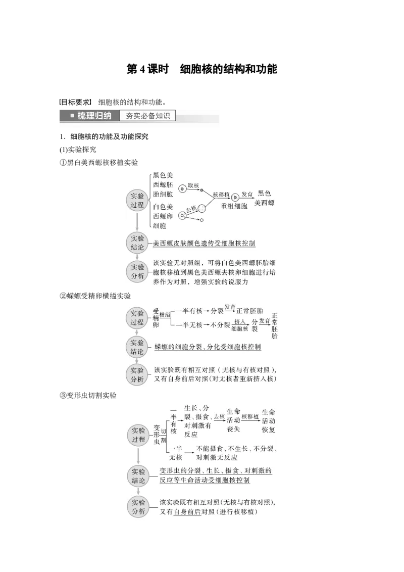 2023年高考生物一轮复习（全国版）第2单元第4课时　细胞核的结构和功能_通用版（老高考）复习资料_2023年复习资料_一轮复习_2023年高考生物一轮复习讲义+课件（全国版）