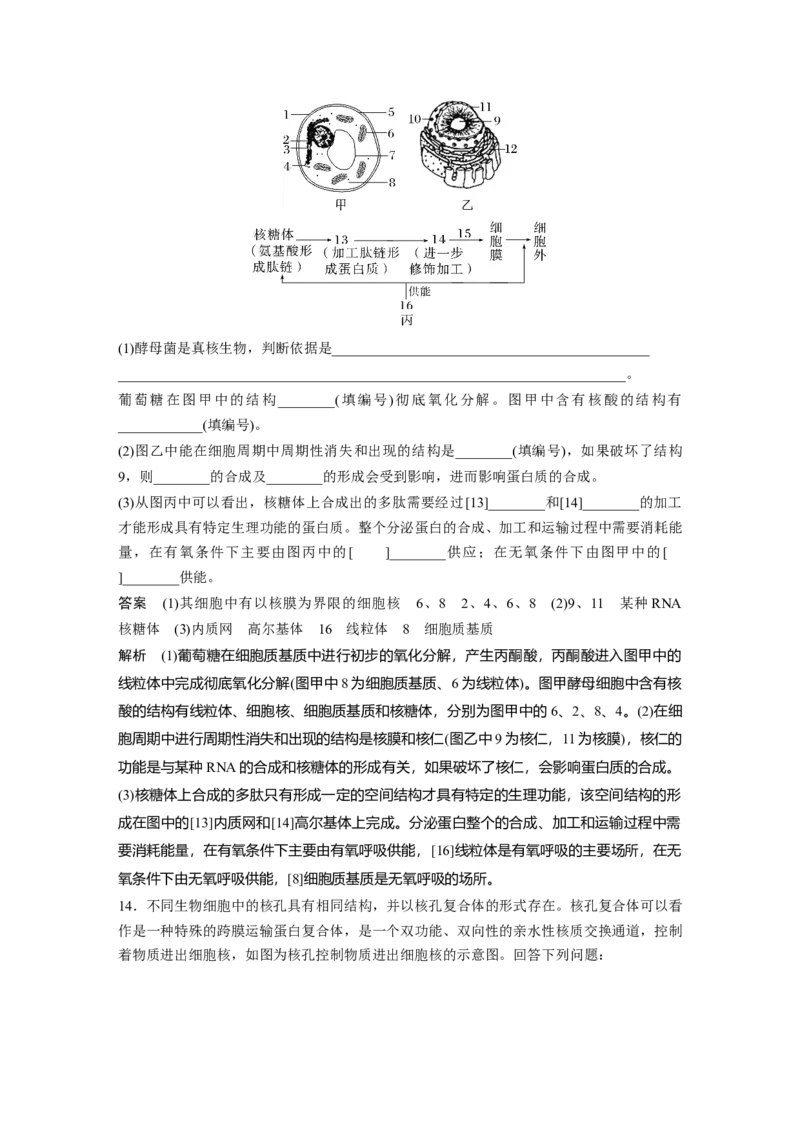 2023年高考生物一轮复习（全国版）第2单元第4课时　细胞核的结构和功能_通用版（老高考）复习资料_2023年复习资料_一轮复习_2023年高考生物一轮复习讲义+课件（全国版）
