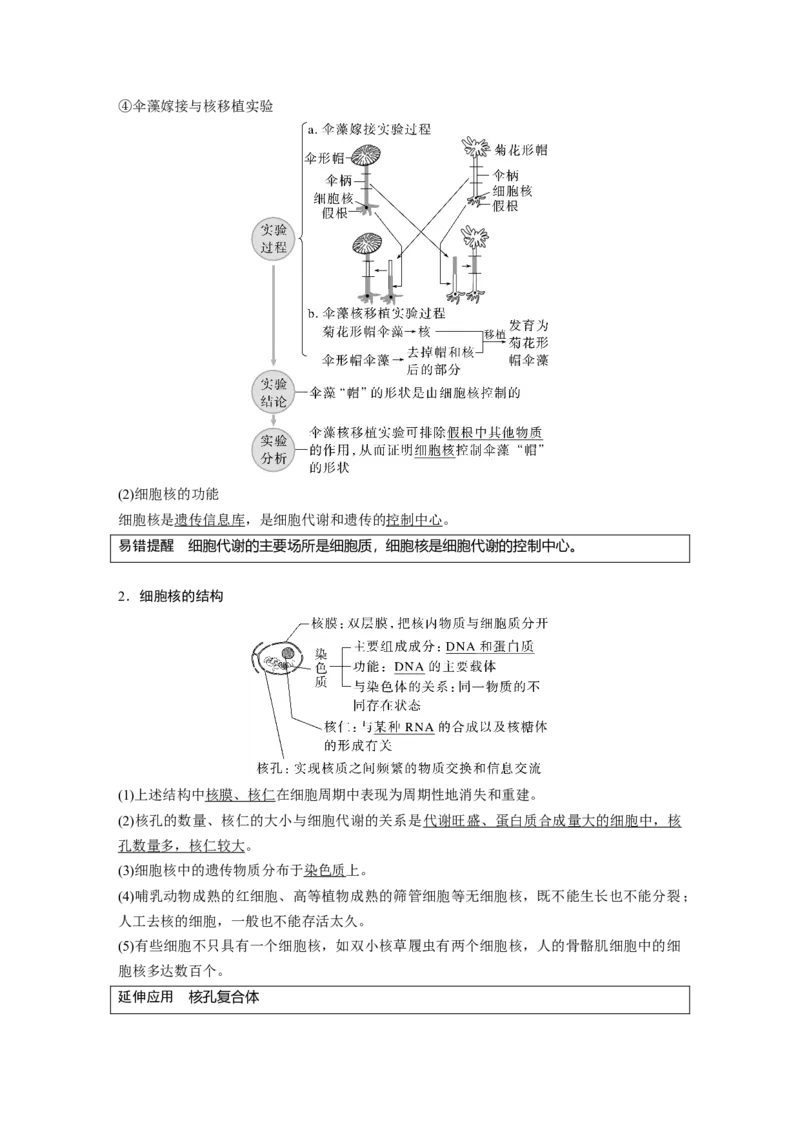 2023年高考生物一轮复习（全国版）第2单元第4课时　细胞核的结构和功能_通用版（老高考）复习资料_2023年复习资料_一轮复习_2023年高考生物一轮复习讲义+课件（全国版）